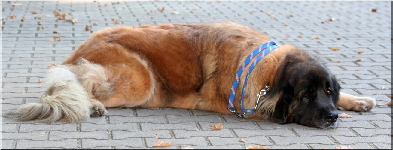 IMG_9164.jpg