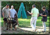 IMG_9205.jpg