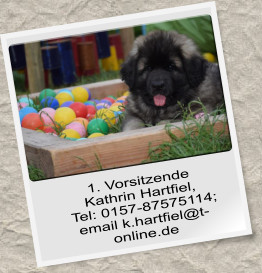1. Vorsitzende   Kathrin Hartfiel,   Tel: 0157-87575114; email k.hartfiel@t-online.de
