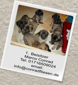 	1.	BeisitzerMarco ConradTel: 01716509024email:info@conradfliesen.de